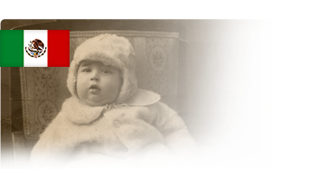 רשומות לידה