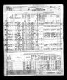 Record image of Jane Tailor