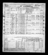 Record image of Elizabeth S Levan