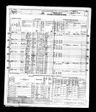 Record image of Luzella V Tomer