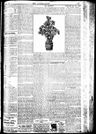 Record image of Aad Cactus D. Armas