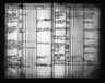 Record image of Adam