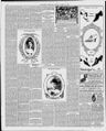 Record image of Harry Klees
