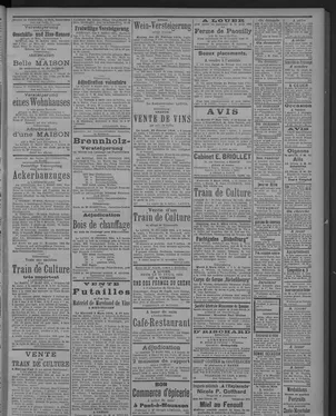 publication thumbnail