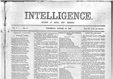 Intelligence
