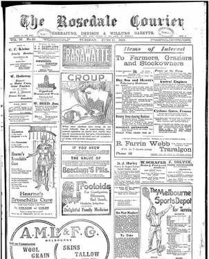 publication thumbnail