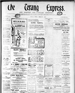 publication thumbnail