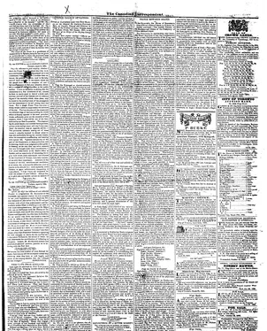 publication thumbnail