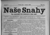 Naše Snahy