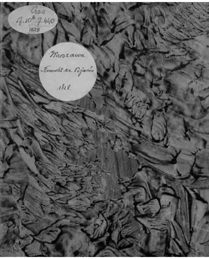 publication thumbnail