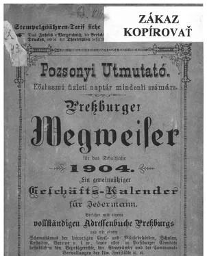publication thumbnail