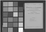 Pleitos Y Causas