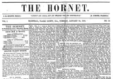 Hornet