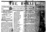 The Hornet