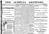 The Aurelia Sentinel