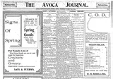 Avoca Journal