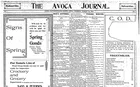 Avoca Journal