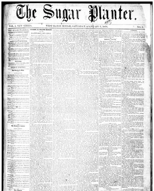 publication thumbnail