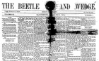 Beetle and Wedge