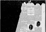 The Ludington Chronicle