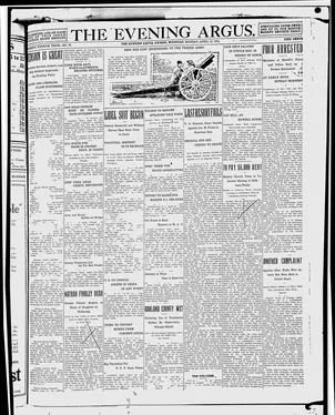publication thumbnail