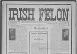 Irish Felon