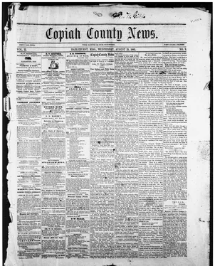 publication thumbnail