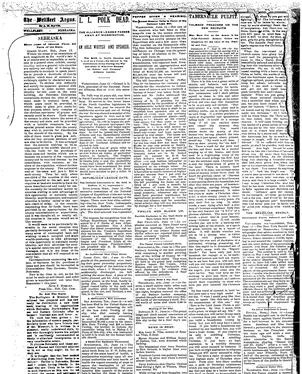 publication thumbnail