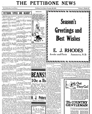 publication thumbnail