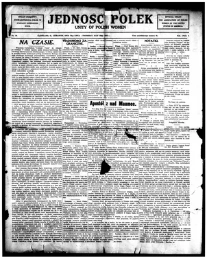 publication thumbnail