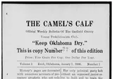The Camel's Calf