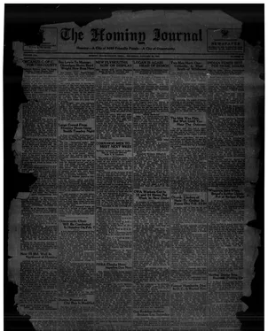publication thumbnail