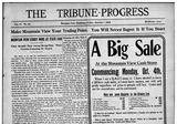 The Tribune-Progress