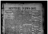 Sentinel News-Boy