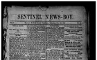 Sentinel News-Boy