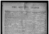 The Sentinel Leader
