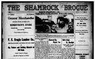 The Shamrock Brogue
