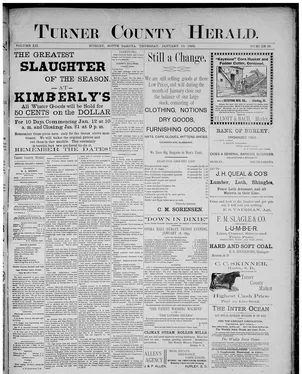 publication thumbnail