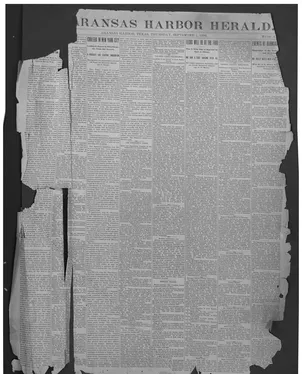 publication thumbnail