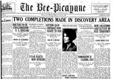 Bee Picayune