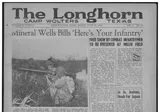The Longhorn