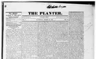 The Planter