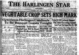The Harlingen Star