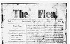 The Flea