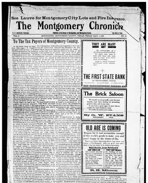 publication thumbnail