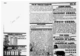 The Texas Gazette