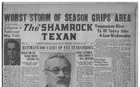 The Shamrock Texan