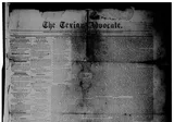 The Texian Advocate