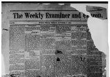 The Weekly Examiner And Patron