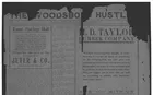 The Woodsboro Hustler